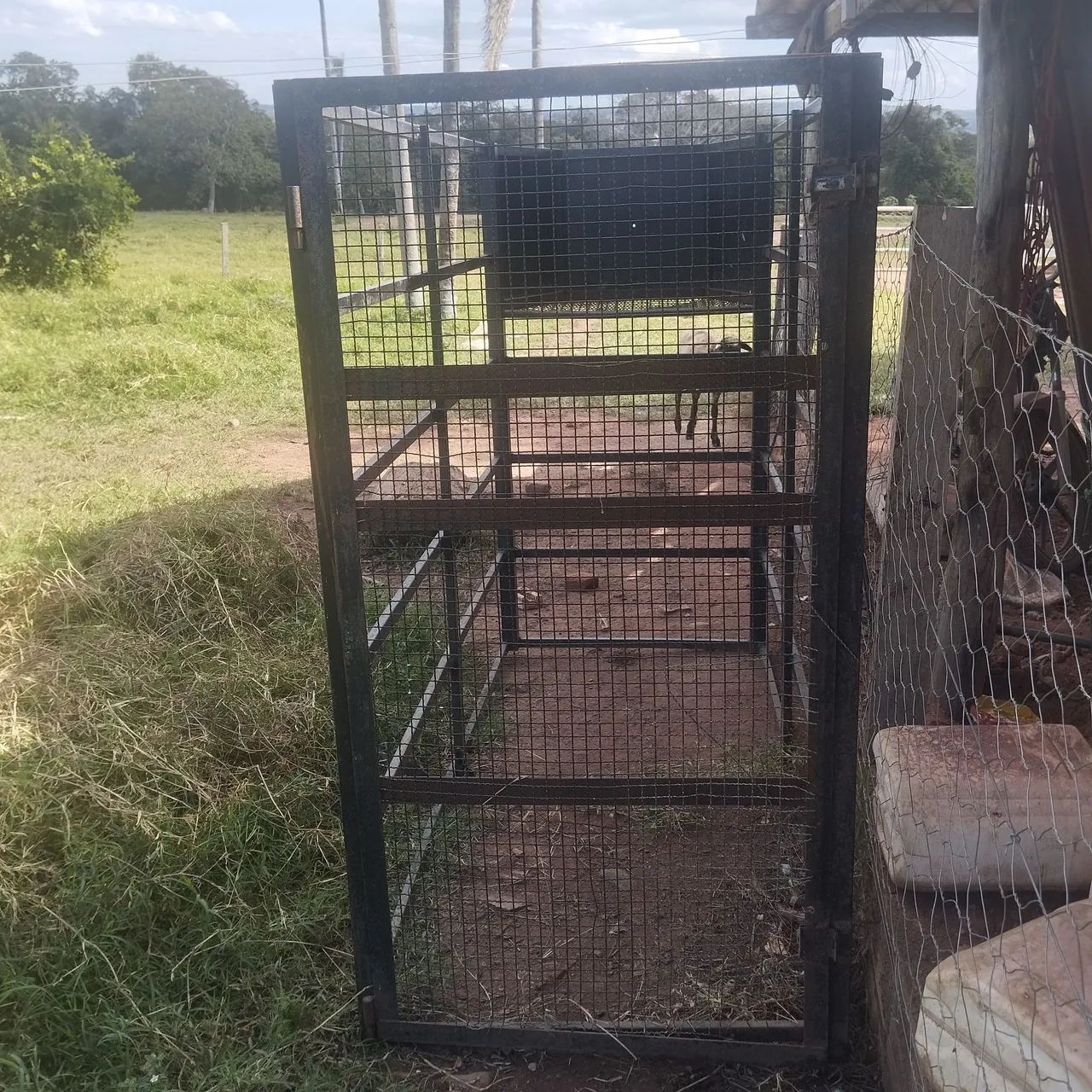 Gaiola pra cavalo  - Foto 3