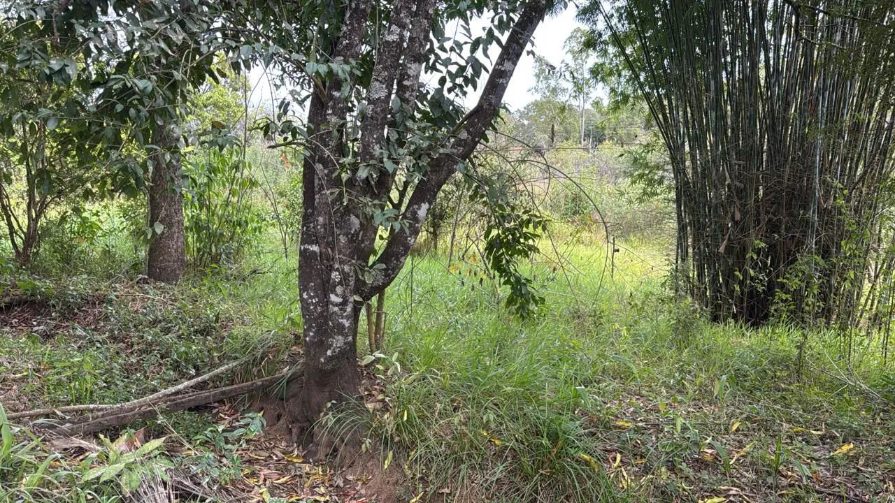 Sítio em Itapecerica mg - Foto 5