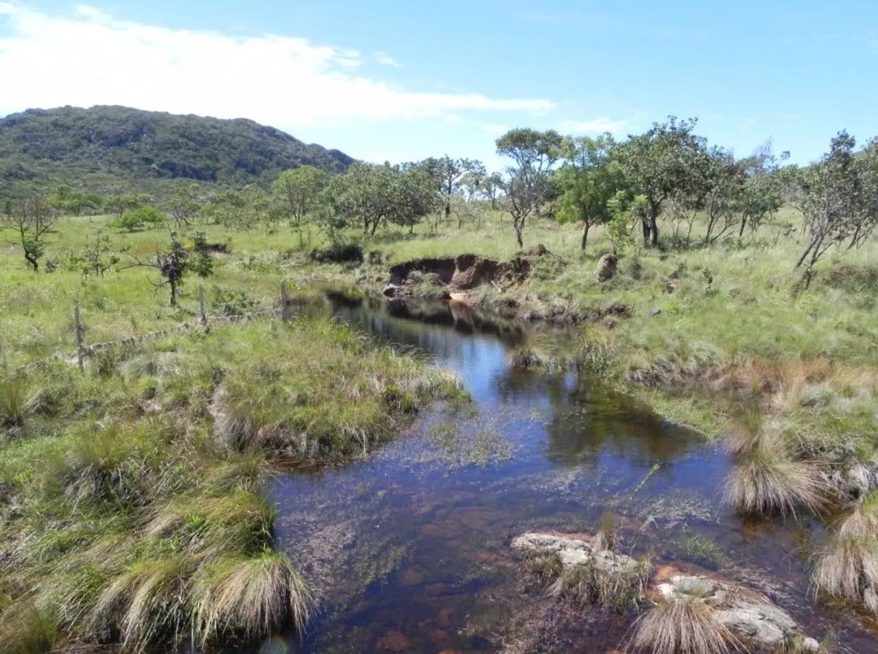 Fazenda Diamantina  - Foto 3