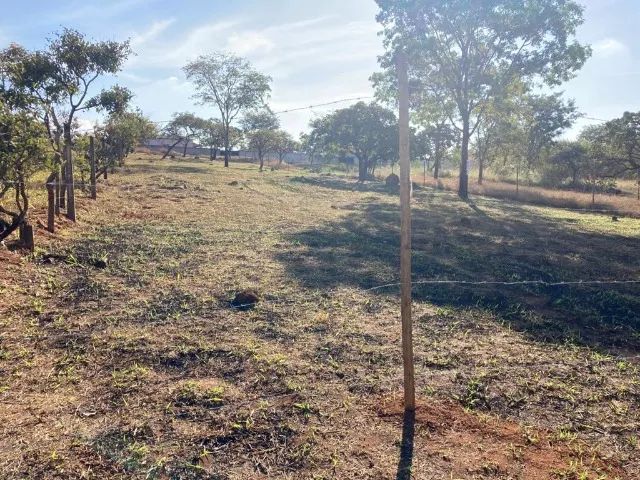 VENDO LOTE - CAPIM BRANCO-MG - Foto 8