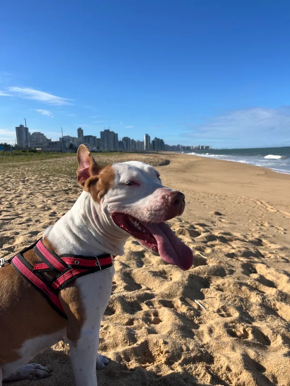 Doação  - Foto 2