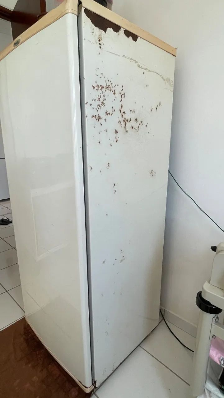 Geladeira Consul 300 L - Funcionando - Foto 4