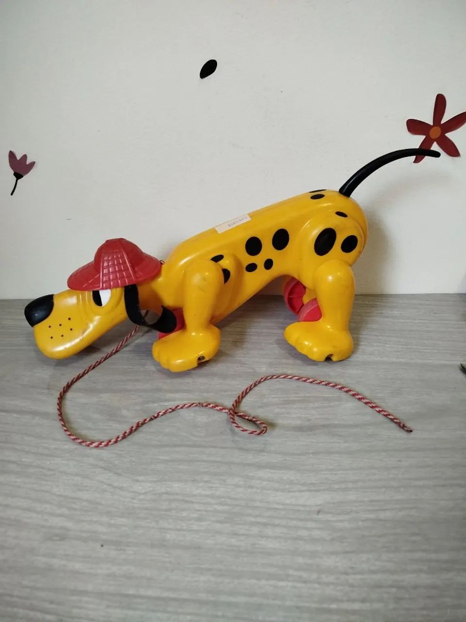 Cachorro xereta estrela  - Foto 4