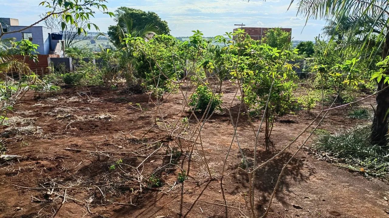  Oportunidade Chácara próximo de Uberlândia  - Foto 3