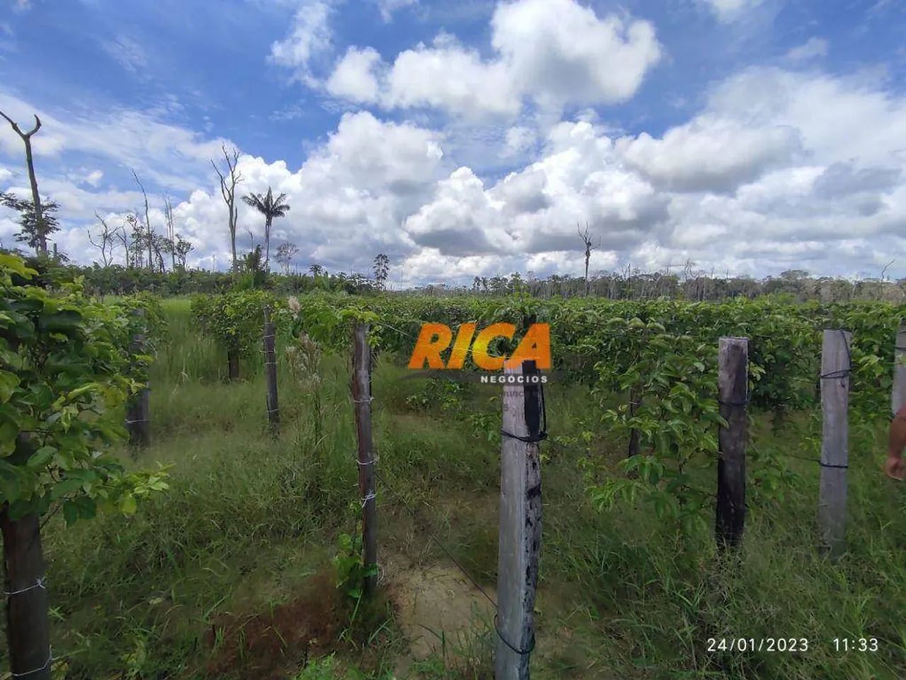 Vende-se sítio com 57 hectares na área rural de Humaitá/AM - Foto 2