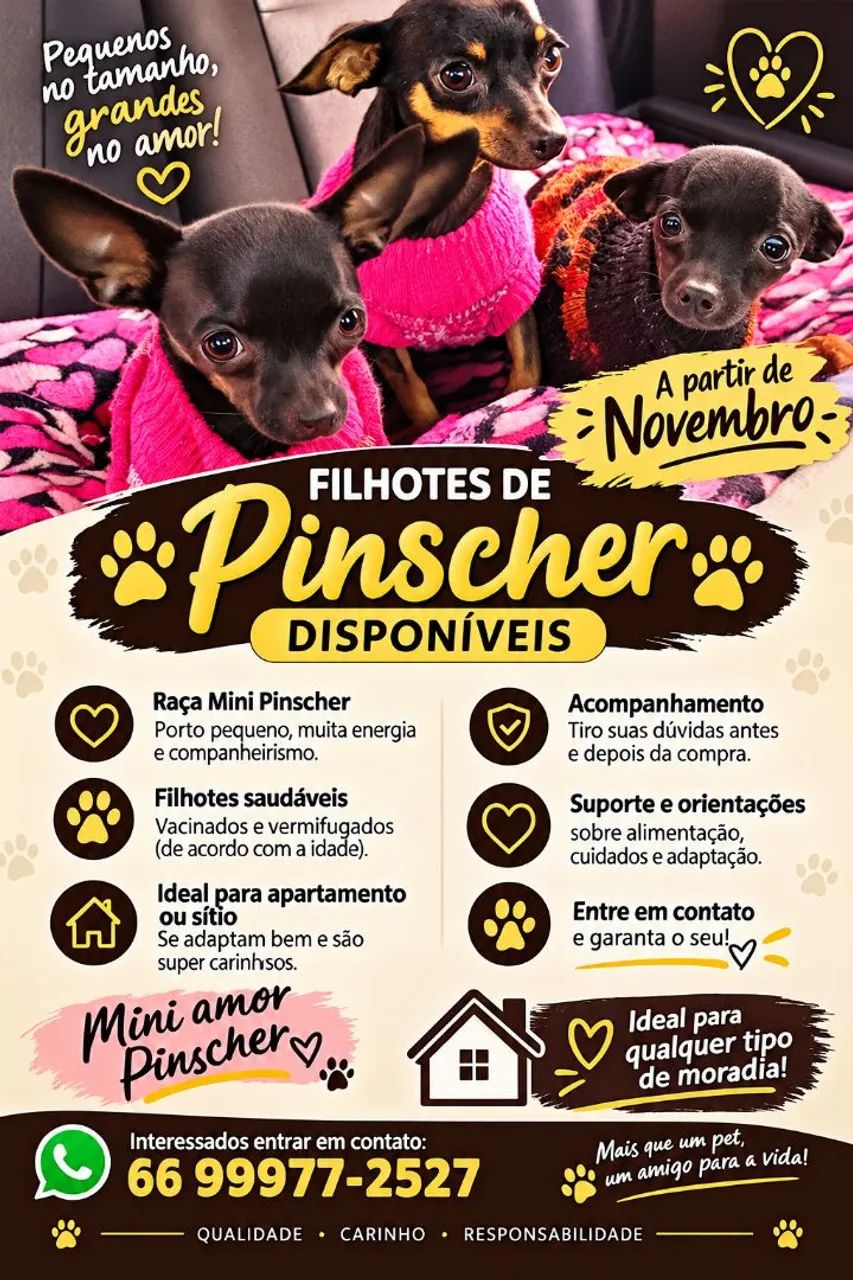 PINCHER  - Foto 2