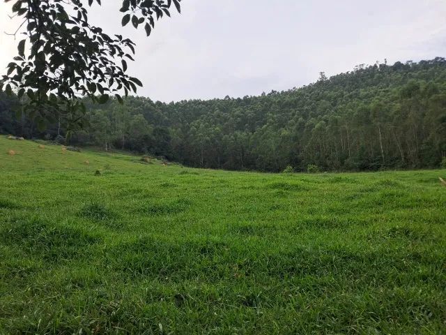 5 Alqueires - Atibaia/SP - Foto 2
