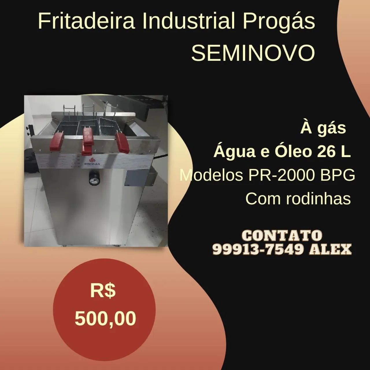 Fritadeira industrial Progás - Seminovo 