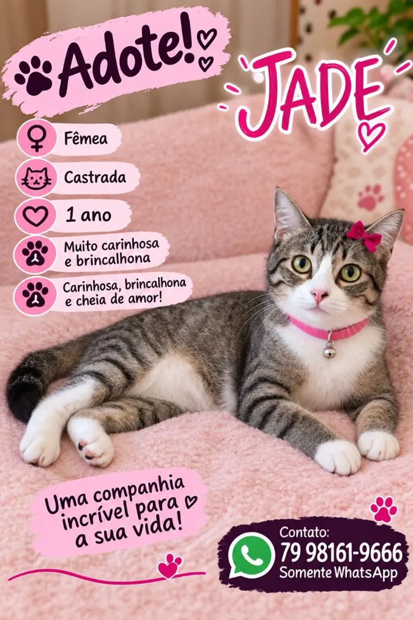 GATAS LINDAS E CASTRADAS - Foto 2