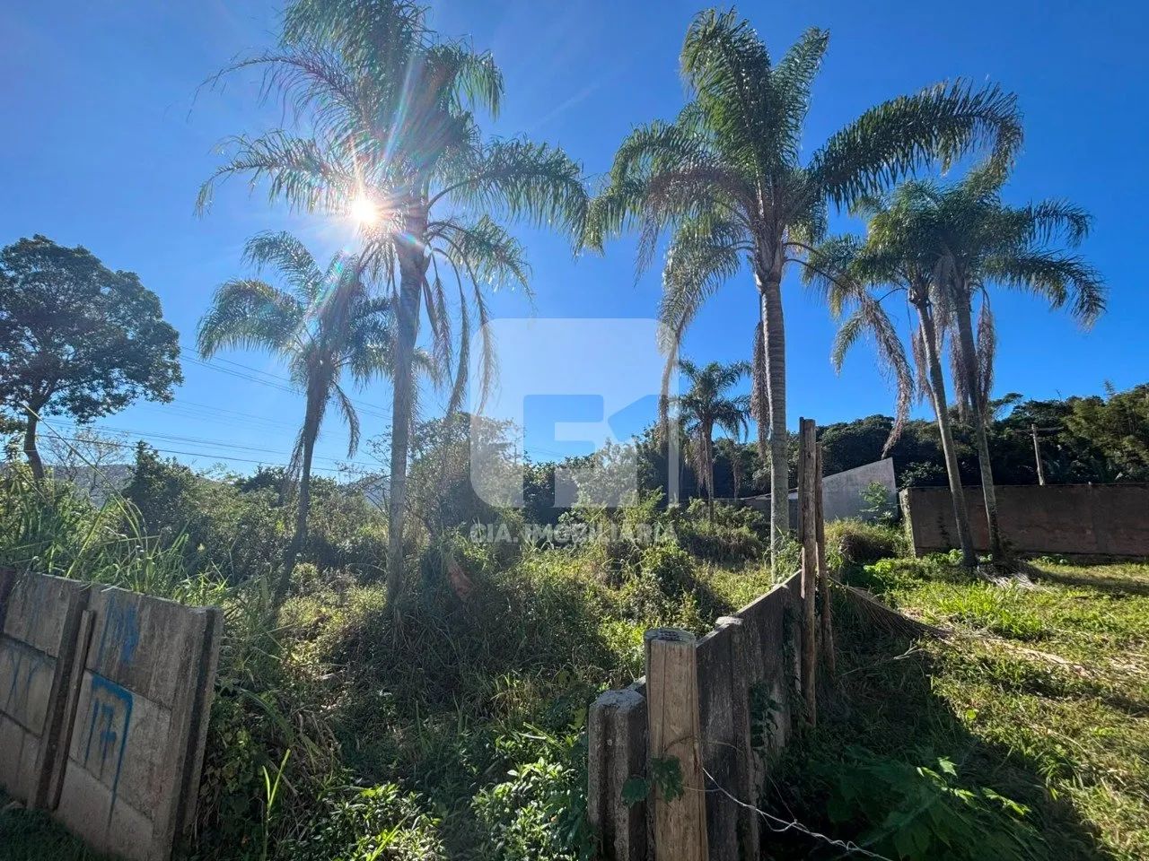 Terreno com vista da Lagoa da Conceição - Foto 5