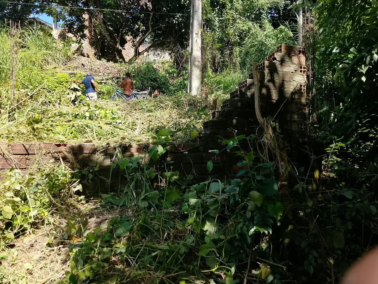 Terreno  - Foto 3