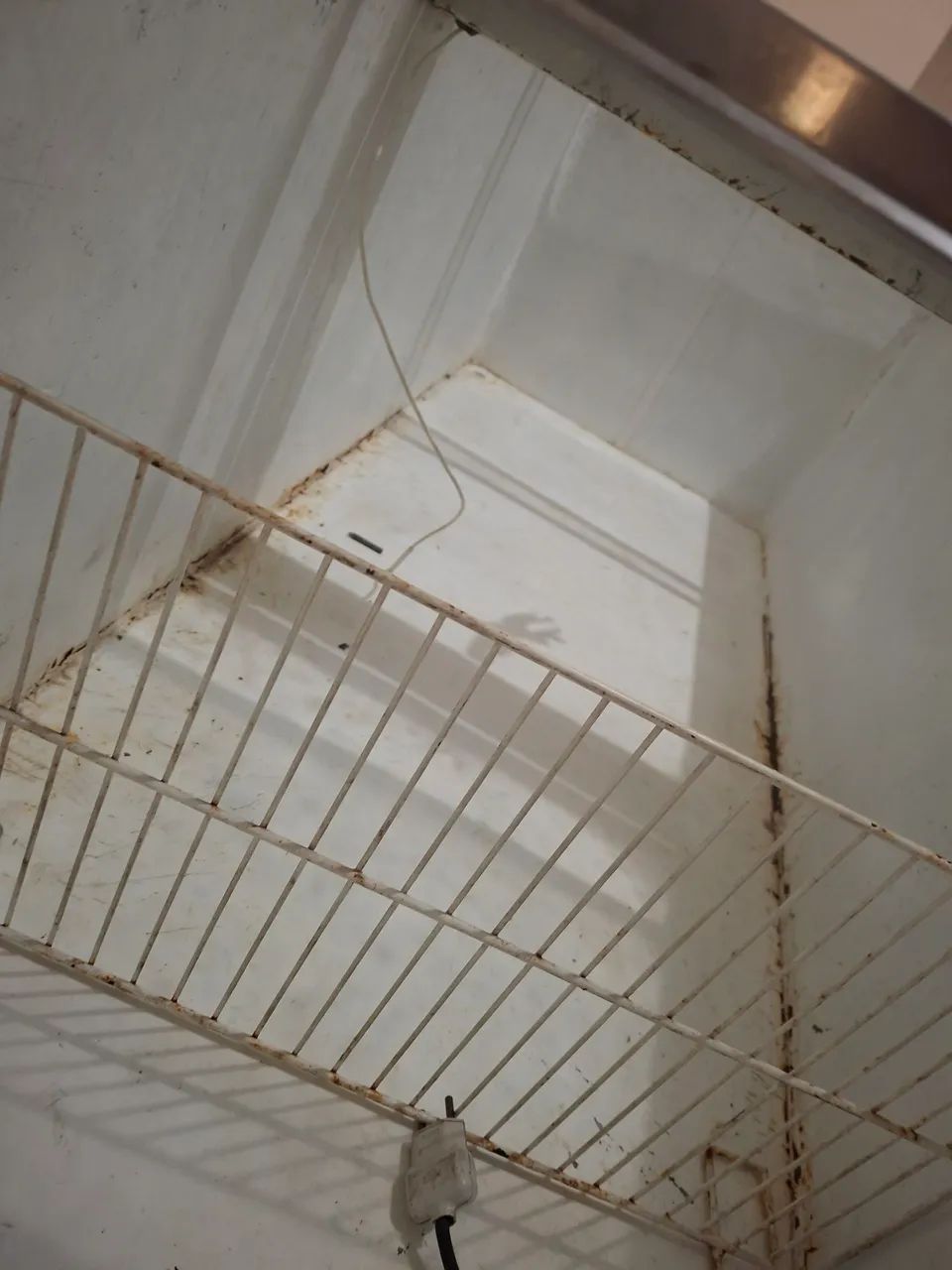 Ilha de congelado  - Foto 4