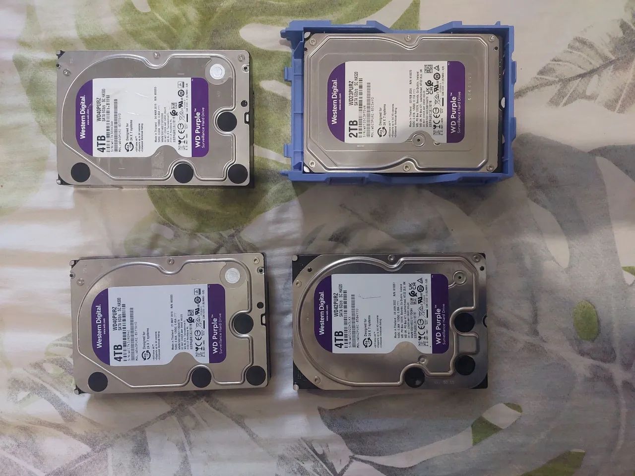 Hd purple 