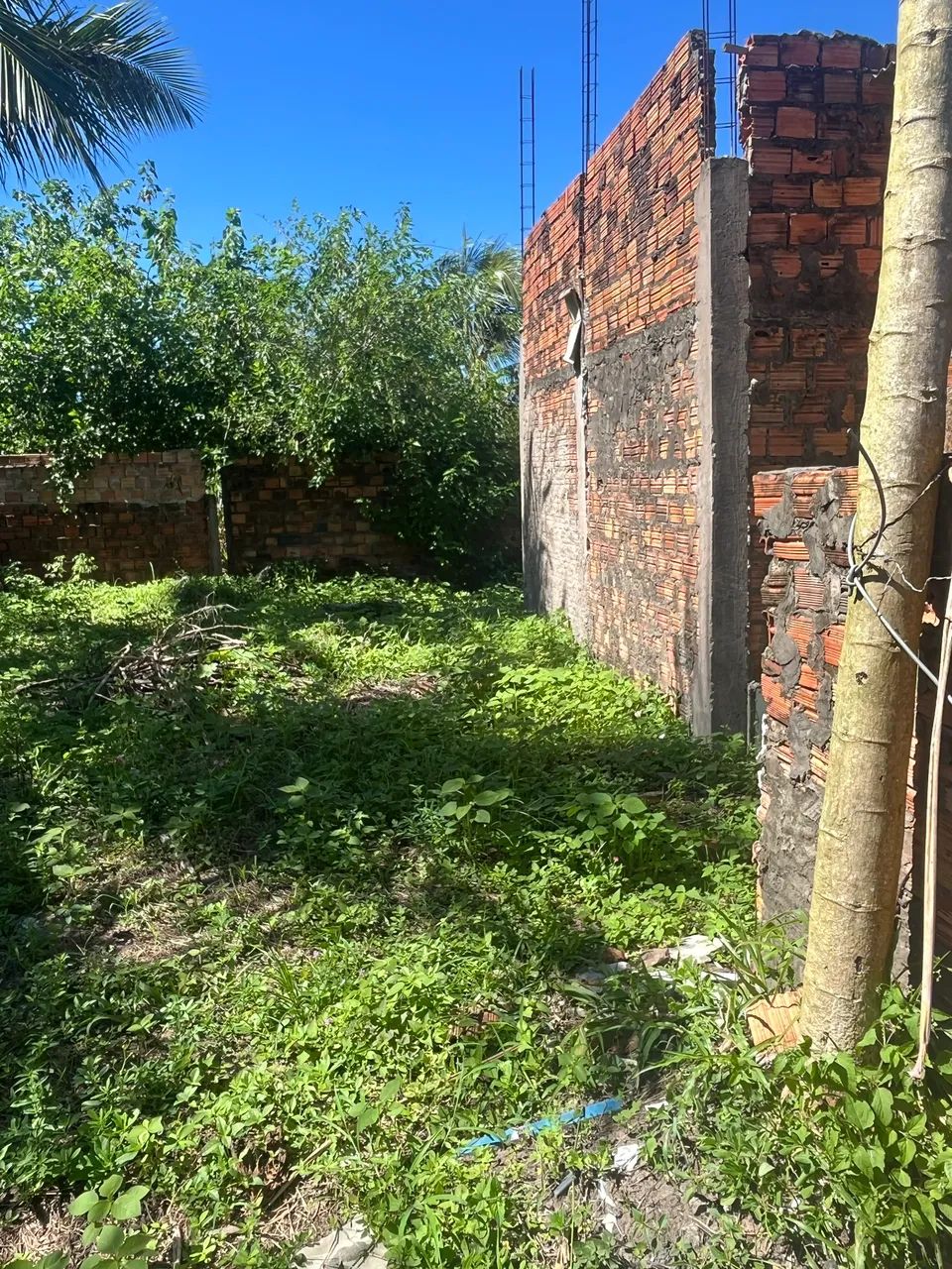 Vendesse terreno  - Foto 2