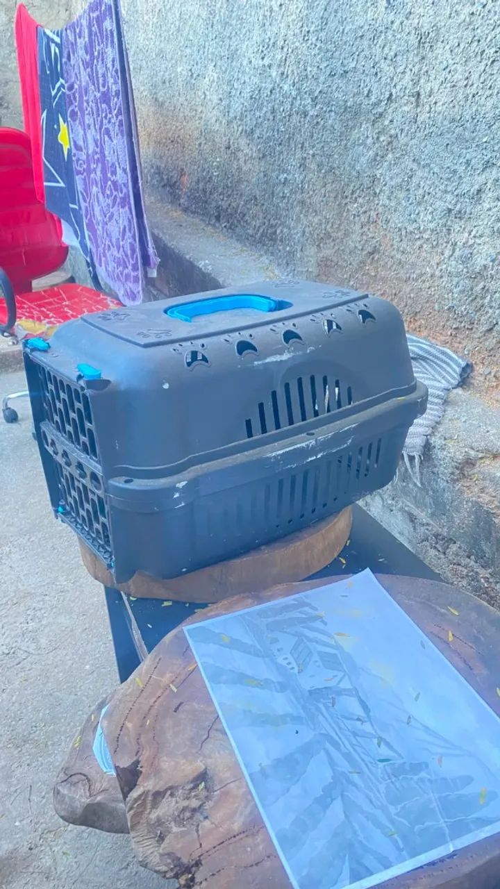 Caixa de transporte para pet 