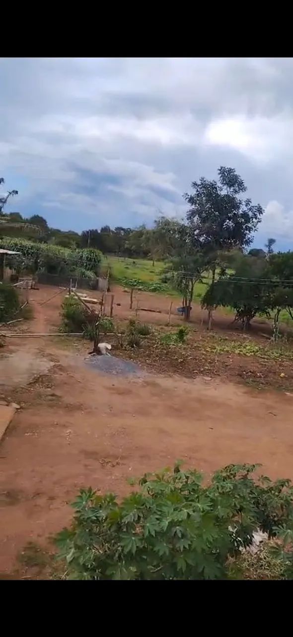 Bairo Morumbi 