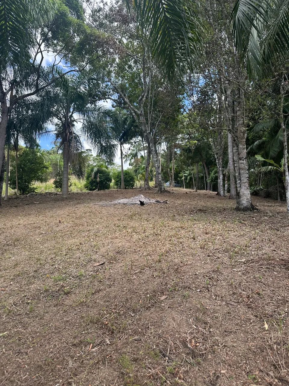 Terreno ideal para construir seu chalé! Bem localizado A. Mornas - Foto 2