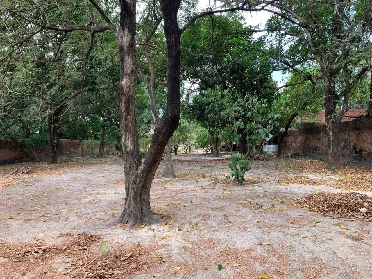 Vende Chacara Bairro Cidade Operária - Foto 4