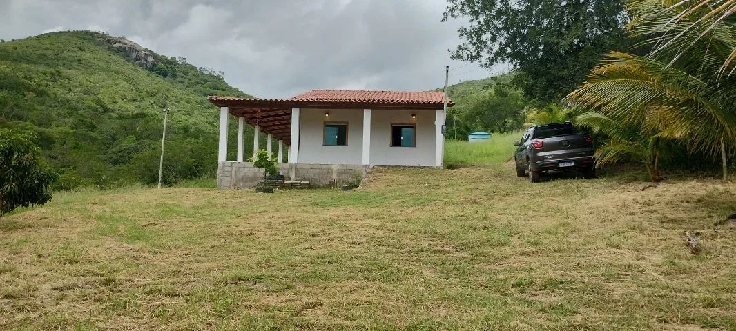 Foto - Jequié - Mandacaru