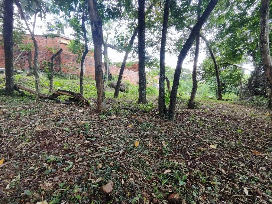 TERRENO COM 604,13 M²; BANDEIRANTES - Foto 3