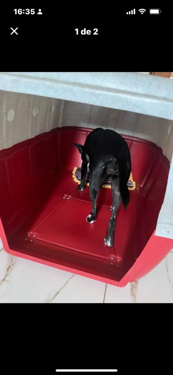 Caixa de transporte para cachorro   - Foto 3