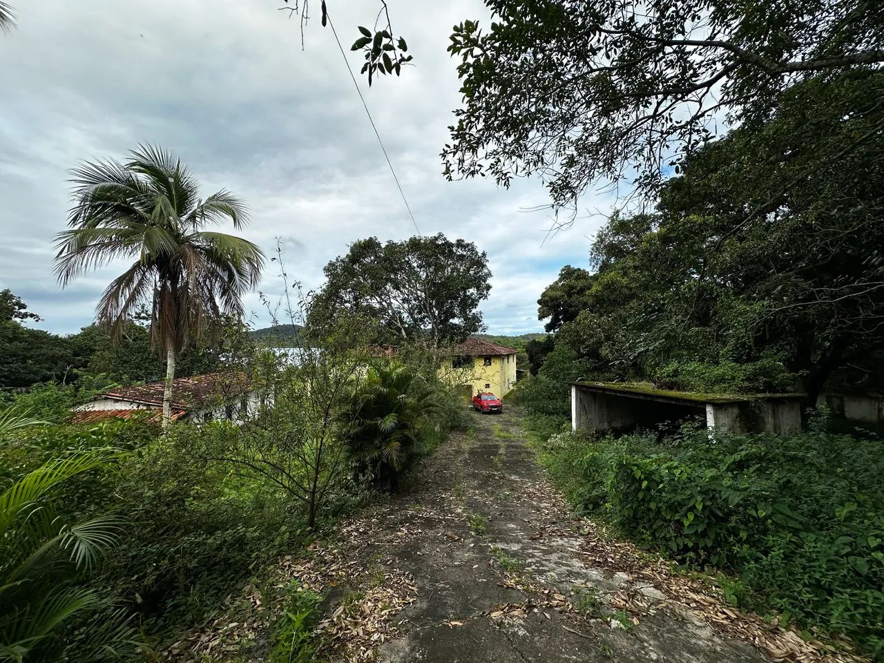 Sítio em cações- jaguaripe - Foto 4