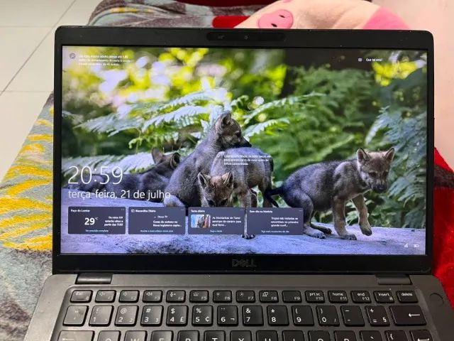 Notebook Dell