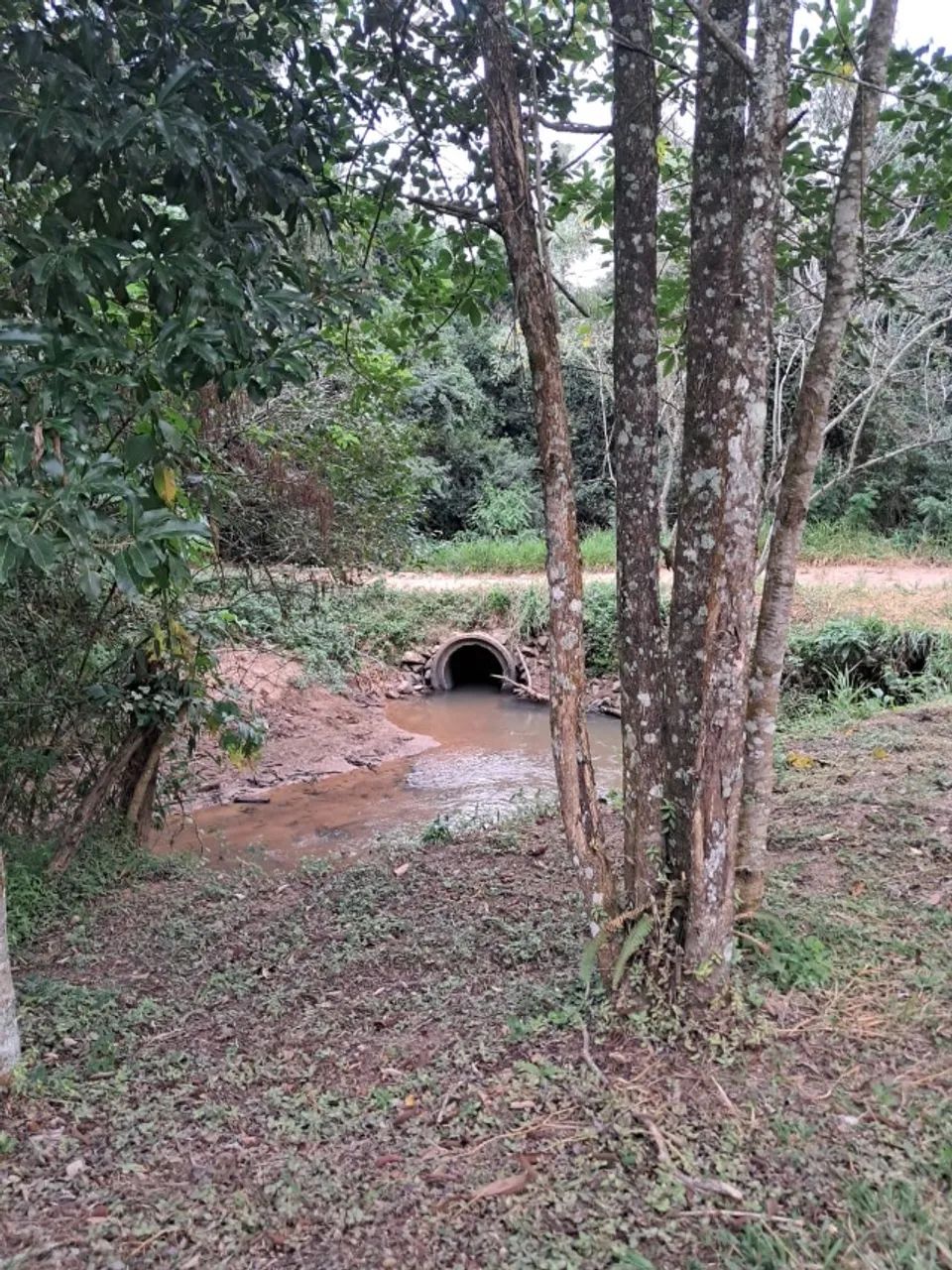 5 Alqueires - Atibaia/SP - Foto 3
