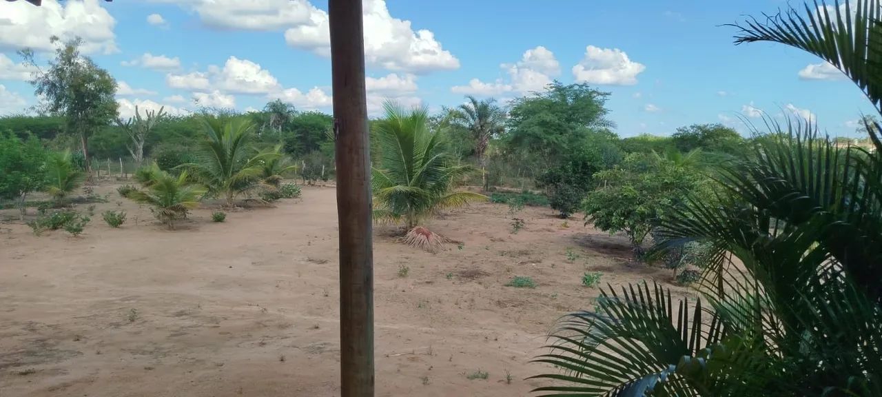 Vende-se Terreno e Casa - Foto 3
