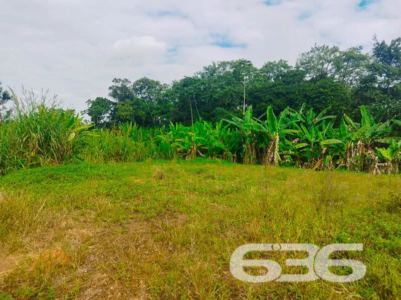 Terreno | Joinville | Pirabeiraba - Foto 4