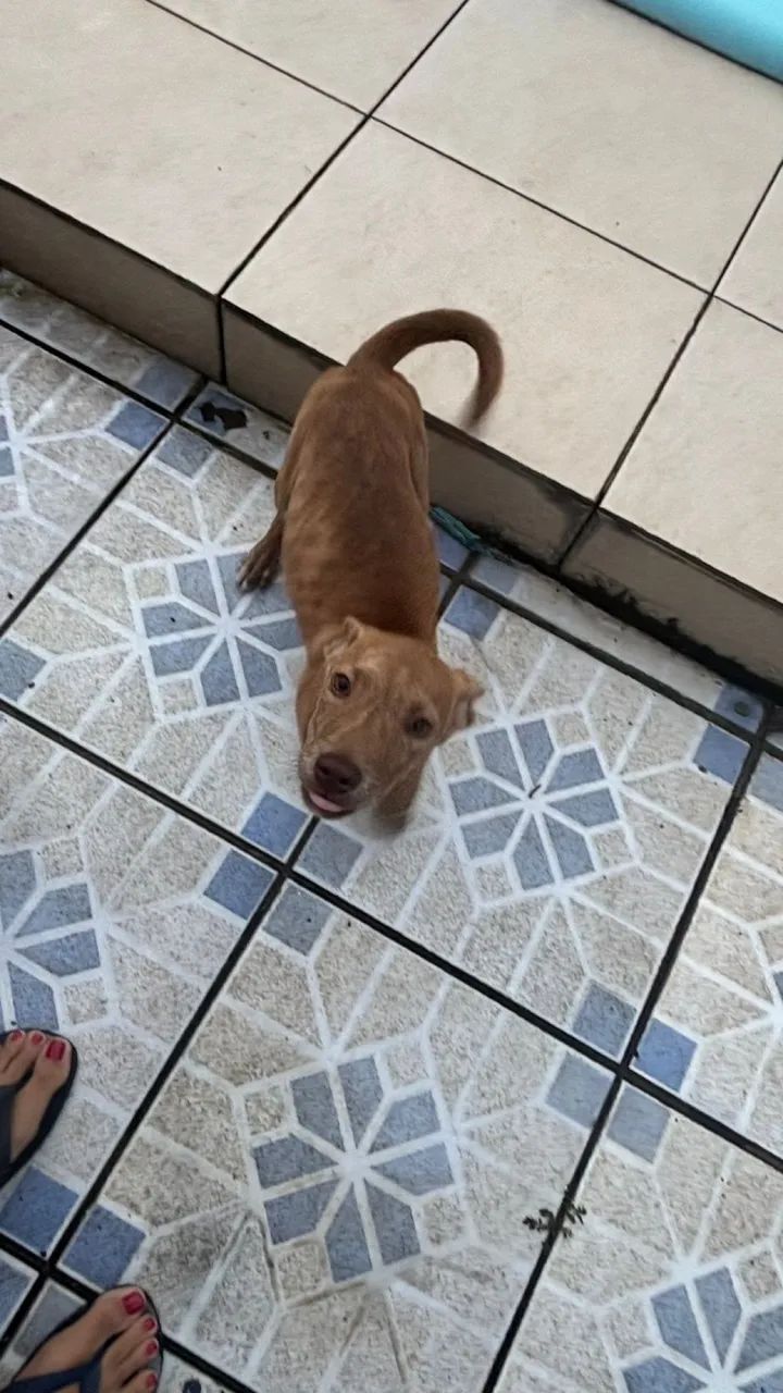 Doação  - Foto 4