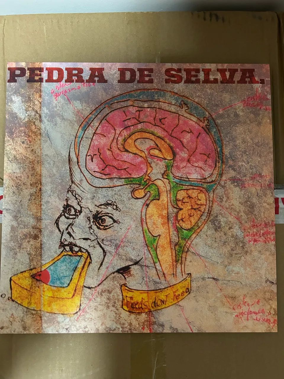 lp vinil - curumin: pedra de selva