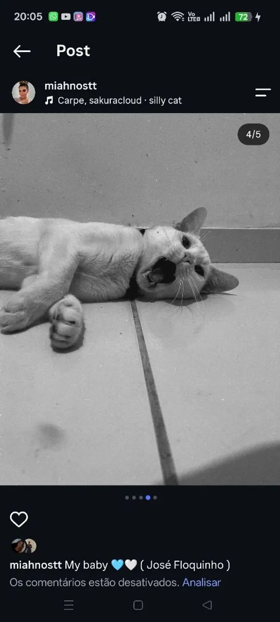 Gatos para doação  - Foto 3