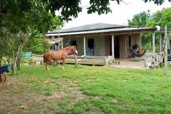 Terra titulada  - Foto 5