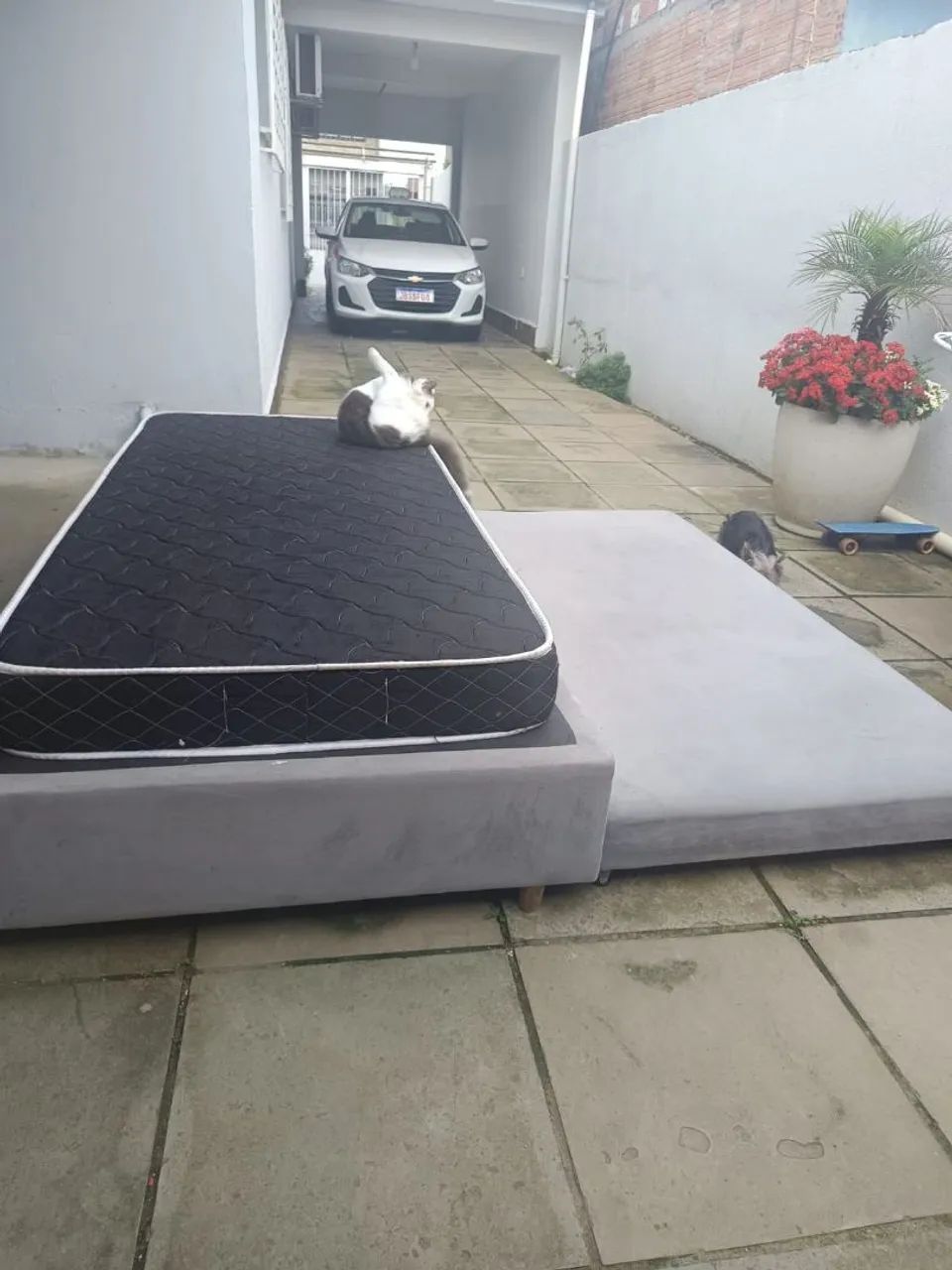 Cama e bicama  - Foto 3