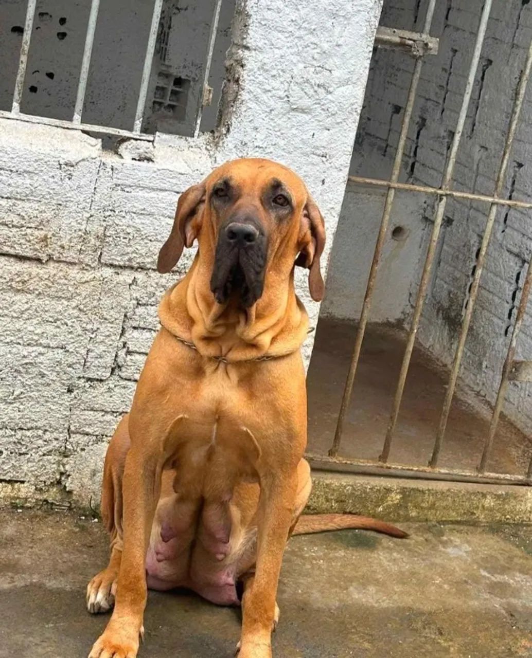 Doação  - Foto 2
