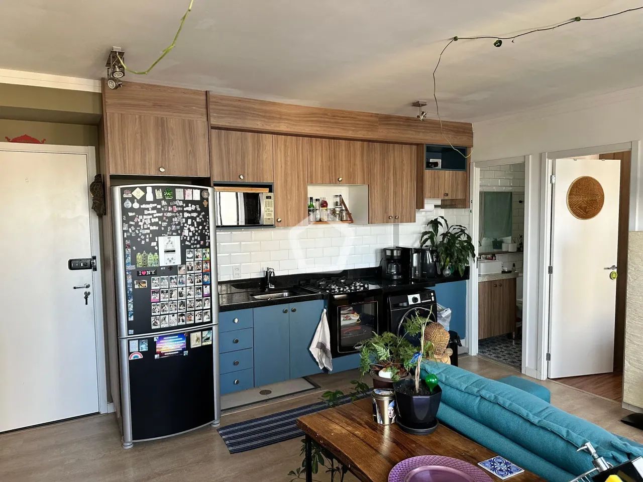 Apartamento em Chácara Inglesa - Foto 3