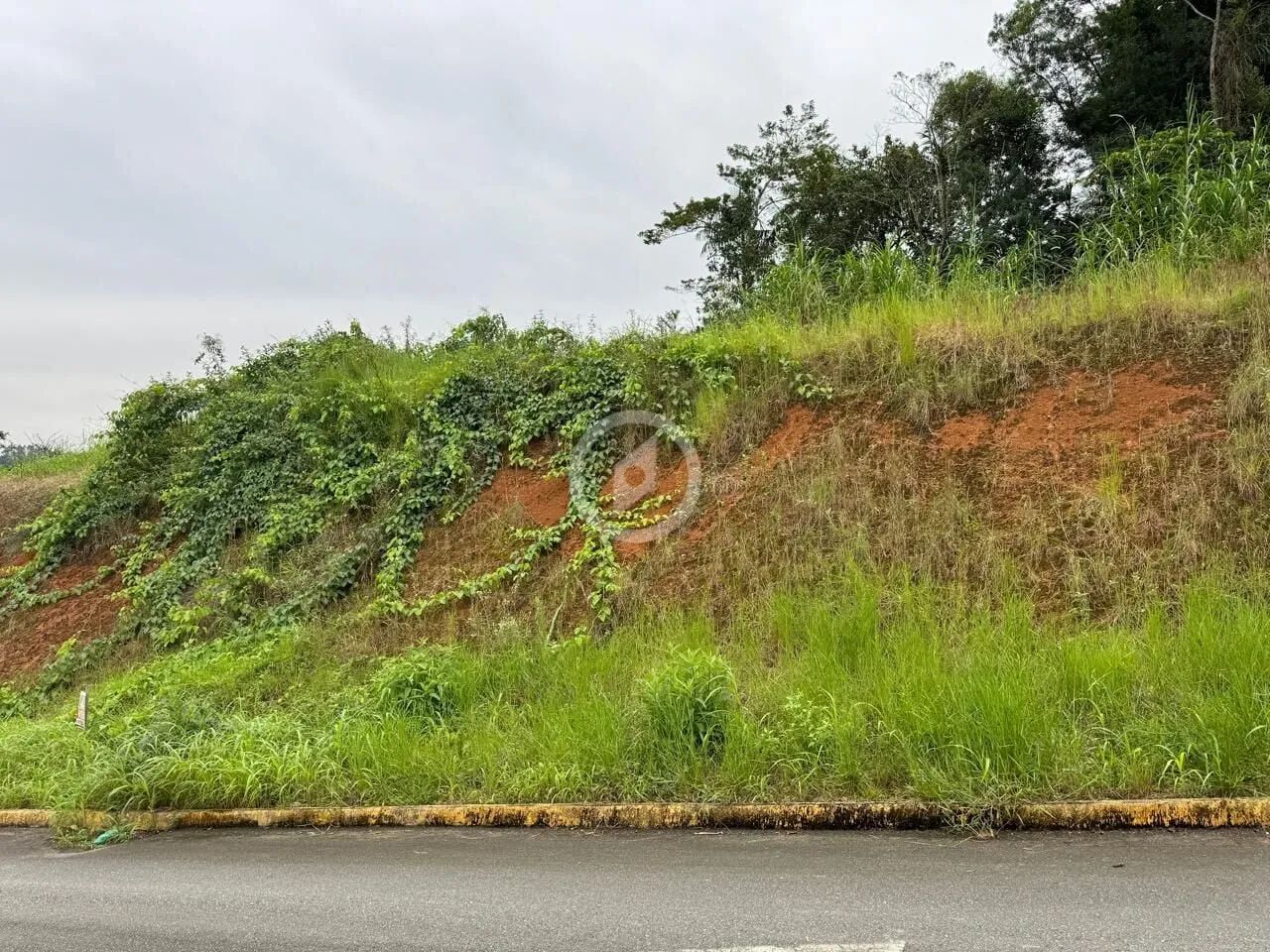 Lindo Terreno no Amizade - Foto 2