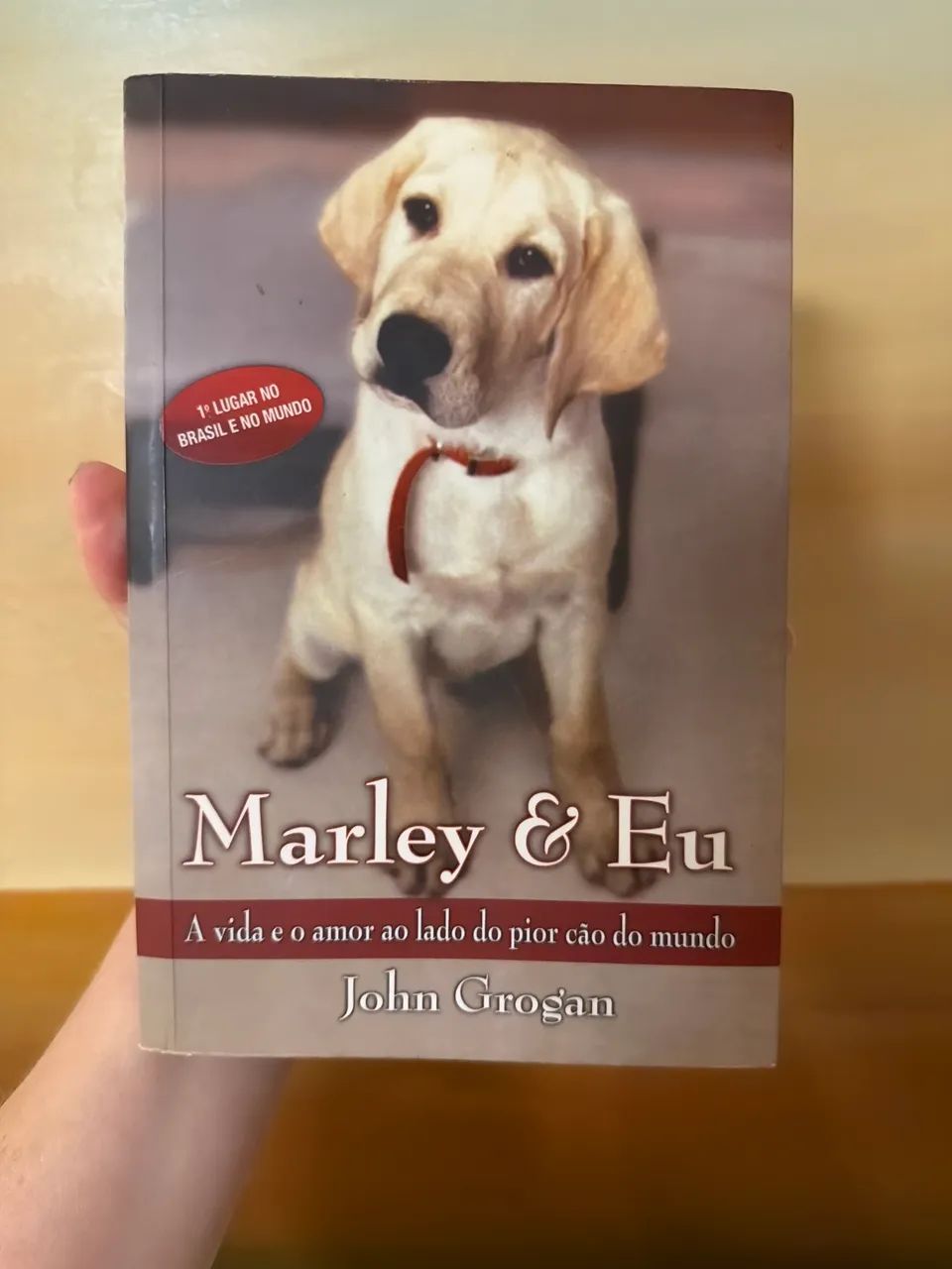Livro Marley & Eu