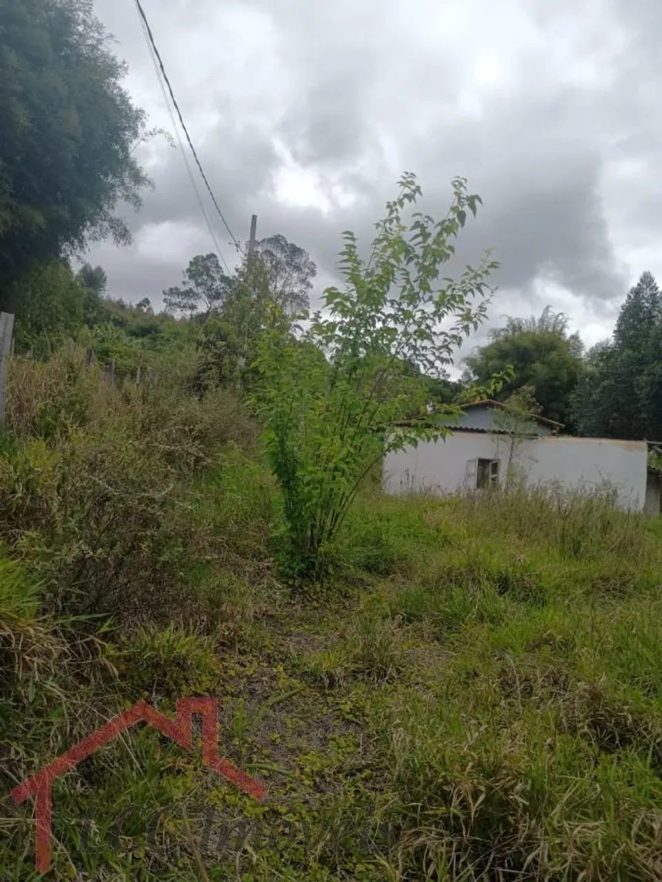 Terreno Rural para Venda em Salesópolis, Paraitinguinha - Foto 4