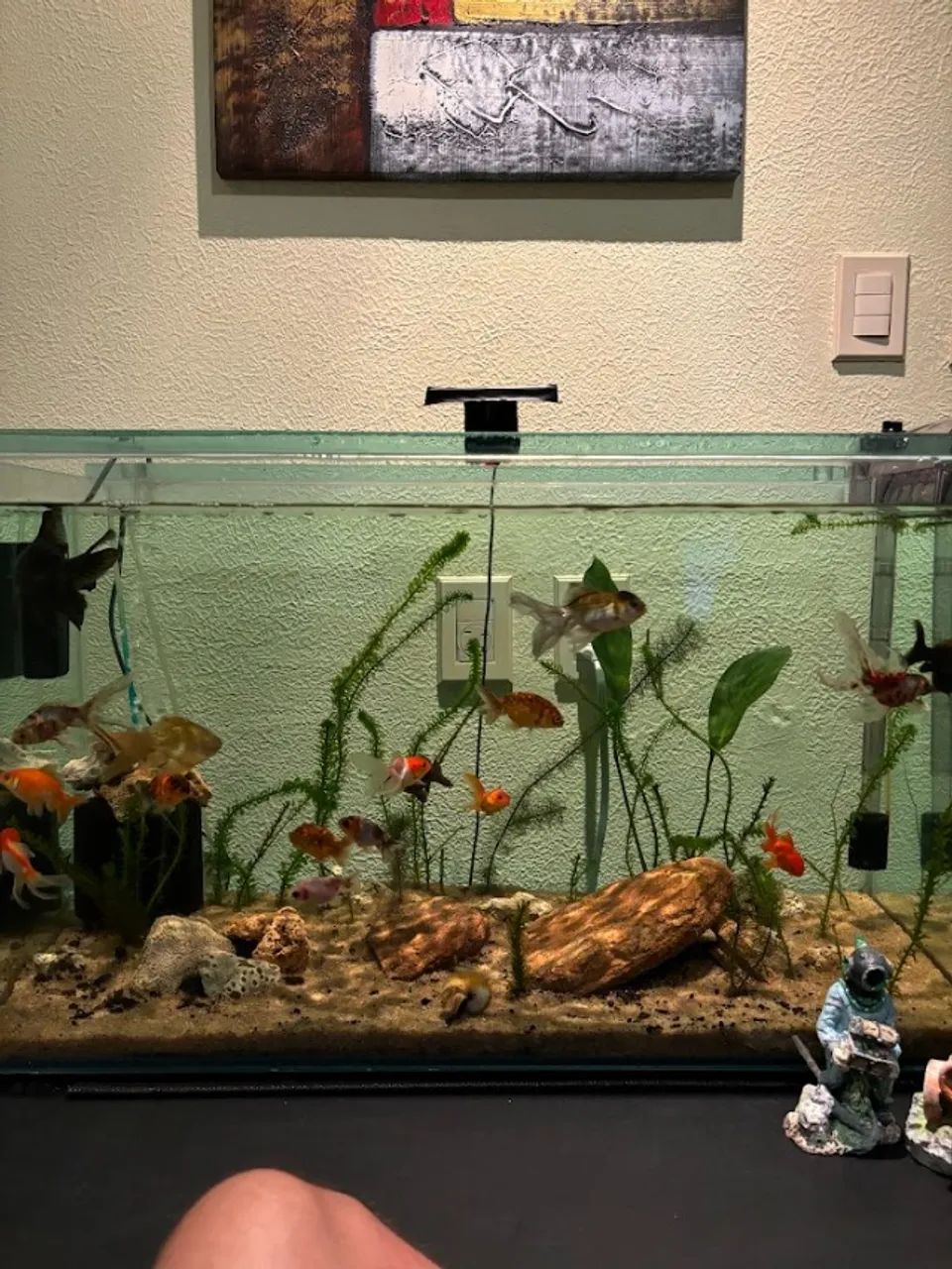 Aquário 130L completo + móvel + luminária | Excelente estado