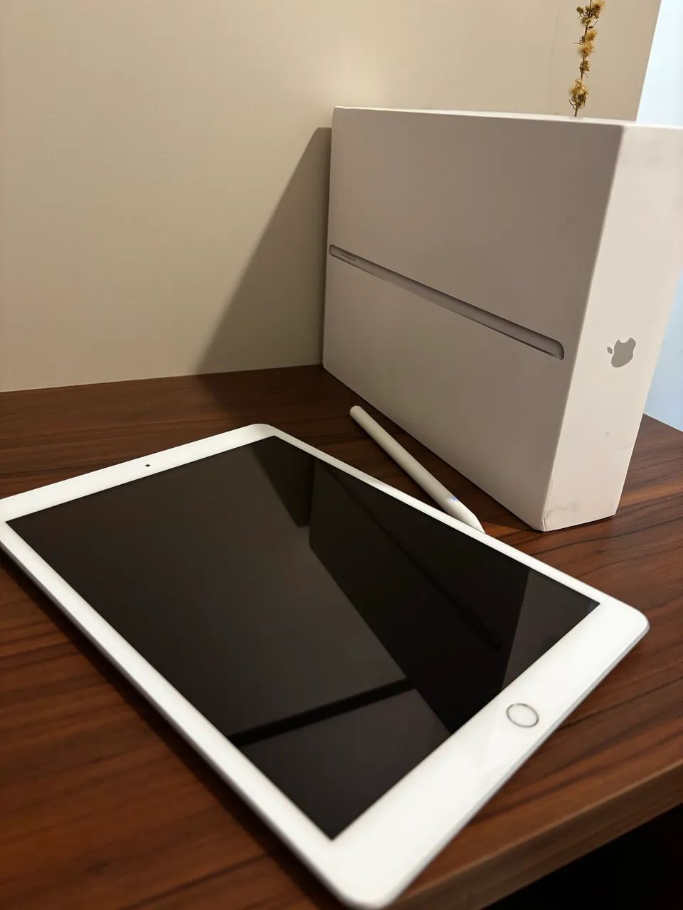 iPad 8 geração - com caneta