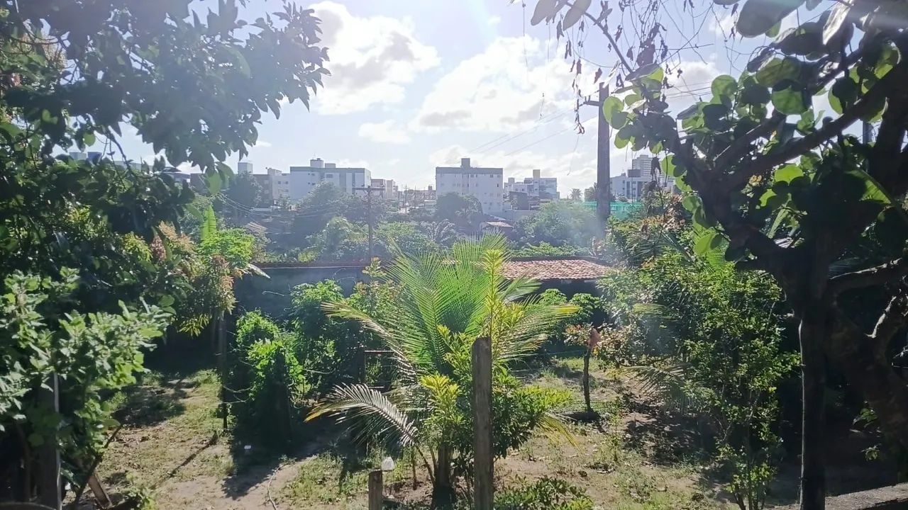 Terreno Bancários  - Foto 5