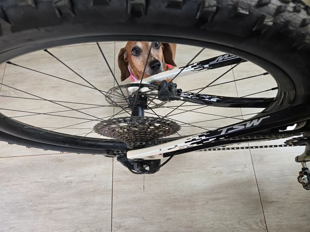 MTB TSW FULL - M 2025 - Foto 5