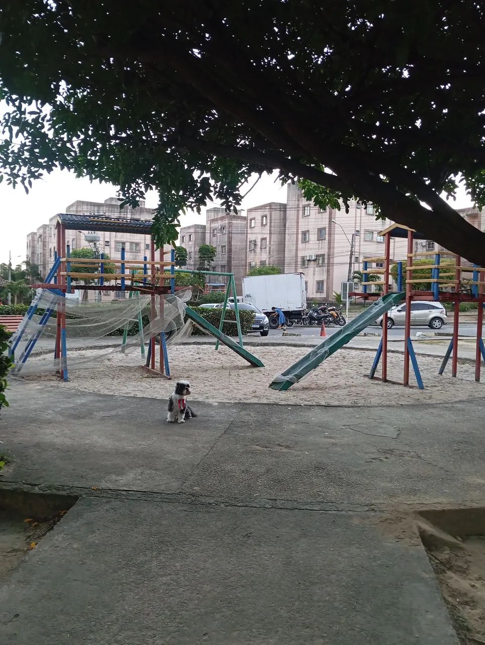 Alugo apartamento no Parque Petrópolis 2 - Foto 5