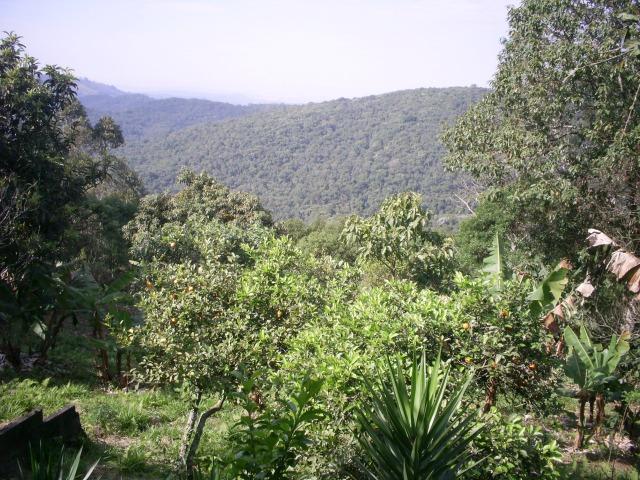 Terreno Rural 27.000 m² - Tapera Grande