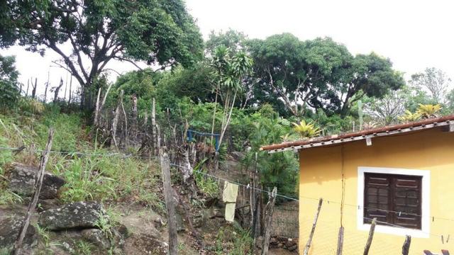 Propriedade de 4.9 hectares, em Vitória de Santo Antão-PE, com casa sede.Aceitam-se trocas - Foto 15