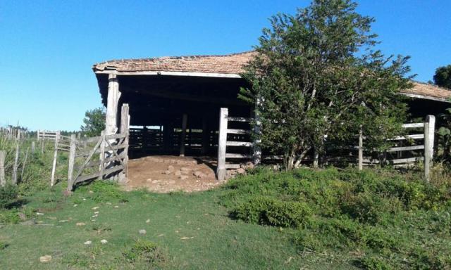 Fazenda para venda em nova viçosa, distrito de argolo - Foto 17