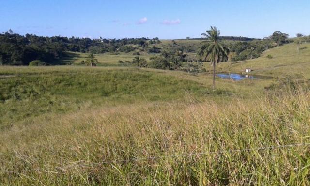 Fazenda para venda em nova viçosa, distrito de argolo - Foto 13