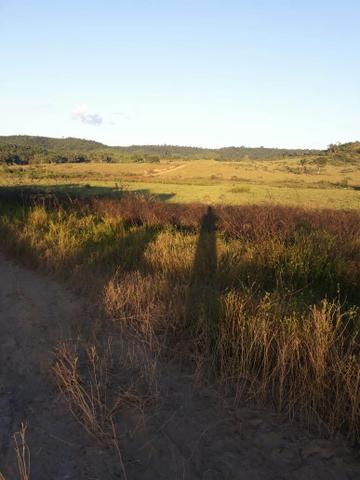 Fazenda 282 alqueires a 1 km do asfalto em açailândia